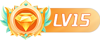 等级-LV15-Booan