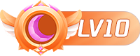 等级-LV10-博安源码
