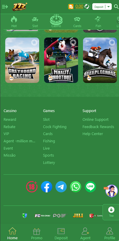 图片[27]-【多接口整合源码平台】PG/PP/CQ9/真人视讯/棋牌游戏/老虎机/支持12语言+8套模板+佣金制度详解